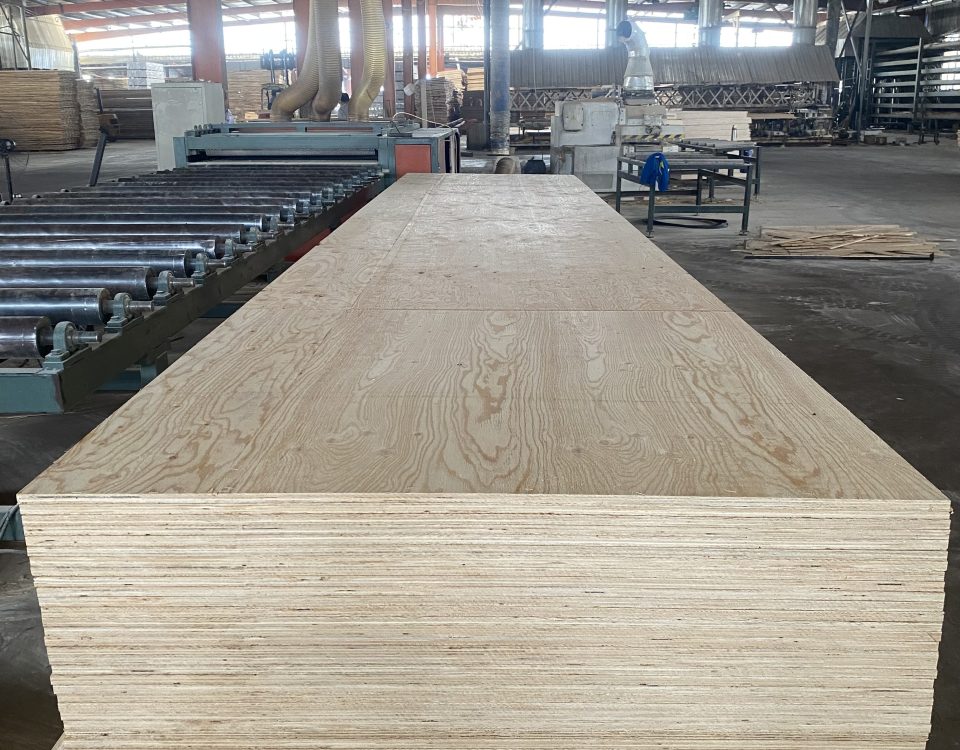 larch pine plywood furniture Plywood larch plywood decks pine plywood plywood manufacture 3 x 6' Structural All Larch Plywood 4 x 8' Structural All Larch Plywood Structural plywood building industry plywood Larch Embossed Plywood Exterior Structural plywood 12mm larch pine plywood 15mm larch pine plywood 18mm larch pine plywood 20mm larch pine plywood 9mm larch pine plywood commercial plywood 4X8' 12mm Tongue & groove larch pine for flooring 4X8' 18mm Tongue & groove larch pine for flooring 4X8' 12mm Tongue & groove larch pine for roofing 4X8' 18mm Tongue & groove larch pine for roofing 4X8' 12mm Exterior interior construction concrete Plywood 4X8' 18mm Exterior interior construction concrete Plywood larch LVL wood larch LVL timber larch LVL lumber larch LVL board larch LVL flooring larch LVL roofing larch LVL wood saw lumber structural plywood plywood board Full Pine Plywood (Larch Plywood) E1 Grade Pine Plywood All Larch and Pine Structure Commercial Plywood Construction Board Structural Full Larch Plywood for Roof and Wall All Larch and Pine Structure Commercial Plywood Furniture Plywood, Plywood Sheet China Factory For Marine Ply Flooring Structural Plywood Sheets 2400 x 1200 x 28mm Larch Pine Plywood Manufacturer in China China Structural Plywood 18mm Manufacturer and Supplier Plywood Product Resources